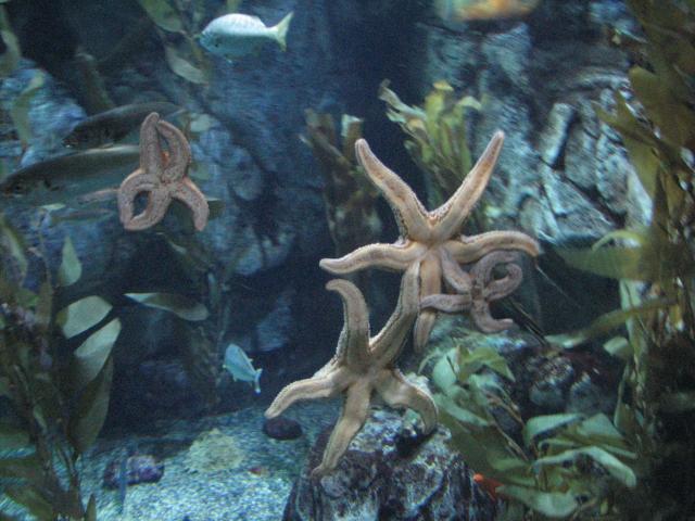 IMG_2029.JPG