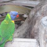 IMG_2042.JPG