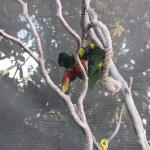 IMG_2051.JPG