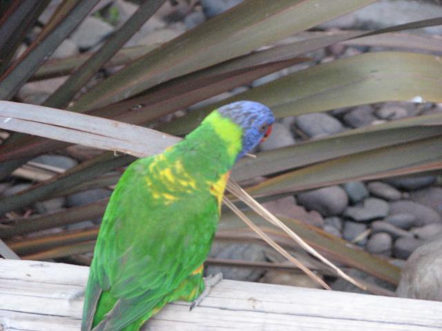 IMG_2040.JPG