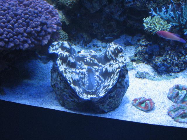 IMG_2054.JPG