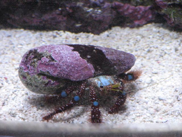 IMG_2055.JPG