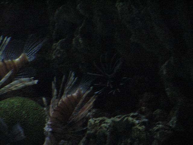 IMG_2059.JPG