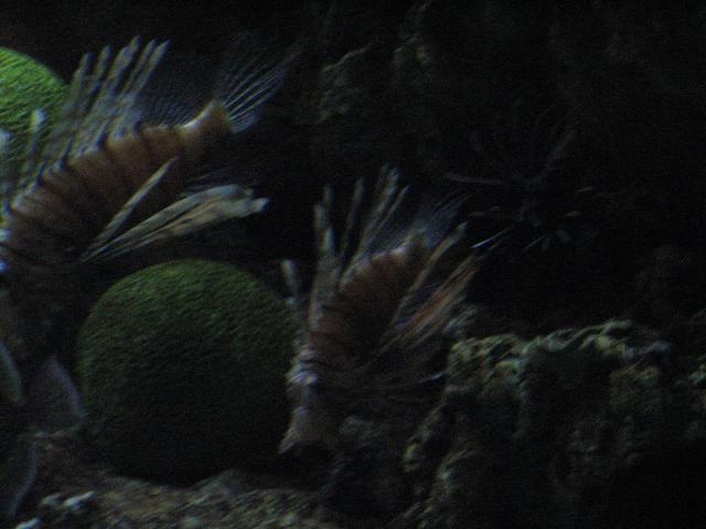 IMG_2060.JPG