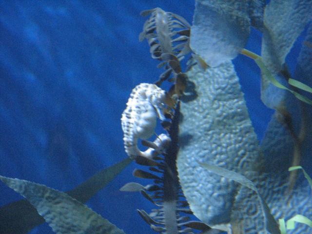 IMG_2061.JPG