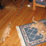 IMG_2169