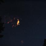 IMG_2228