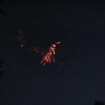 IMG_2230