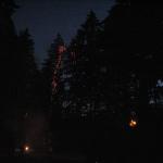IMG_2237