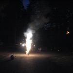 IMG_2239