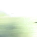 IMG_0199