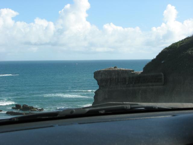 IMG_0223