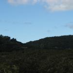IMG_0234