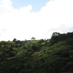 IMG_0236