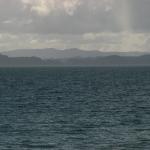 IMG_0252