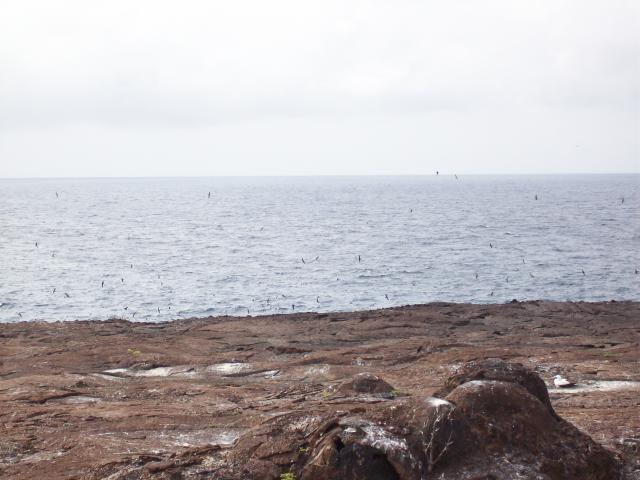 100_0453