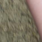 100_0566