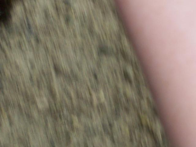 100_0566