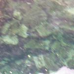 100_0591