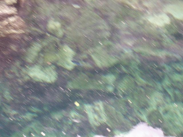 100_0591